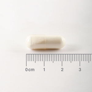 [:es]Muestra de cápsula de la L-Glutamina 500 mg. Lamberts[:en]Sample of L-Glutamine 500mg Lamberts capsule[:]