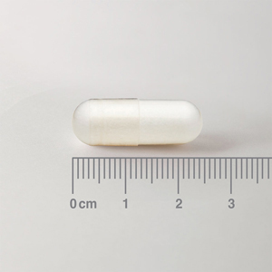 [:es]Muestra de cápsula de la L-Metionina 500 mg Lamberts[:en]Sample of L-Methionine 500mg Lamberts capsule[:]