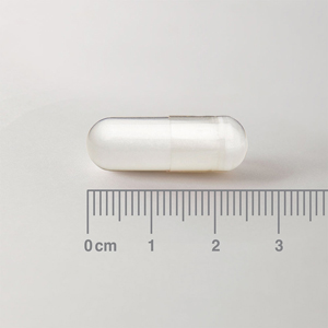 [:es]Muestra de cápsula de la L-Ornitina 500 mg Lamberts[:en]Sample of L-Ornithine 500mg Lamberts capsule[:]