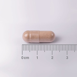 Muestra de cápsula de la L-Teanina 200 mg Lamberts