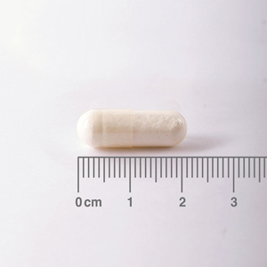 [:es]Muestra de cápsula de la Taurina 500 mg Lamberts[:en]Sample of Taurine 500mg Lamberts capsule[:]