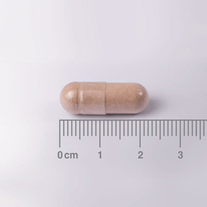 Cápsula del Complejo de L-Teanina 200 mg y Bálsamo de Limón 6000 mg Lamberts