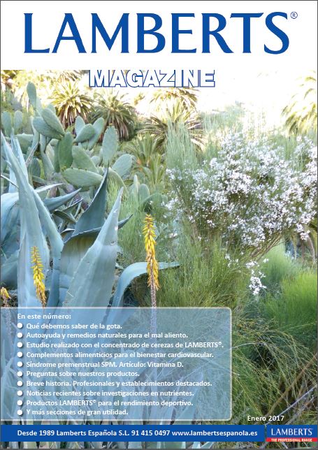 Portada de la revista Lamberts de Enero 2017