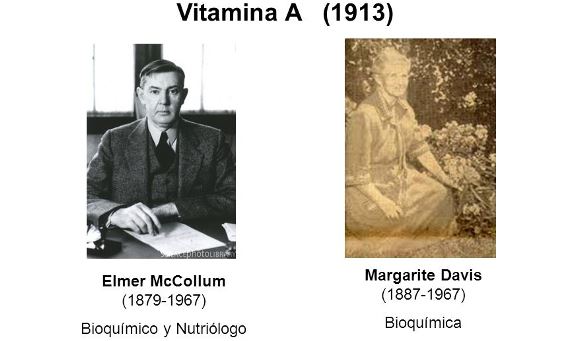Descubridores de la vitamina A