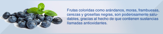 arándanos: poderoso antioxidante para la memoria