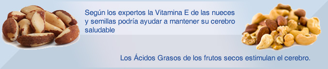 Nueces y frutos secos alimentos para la memoria
