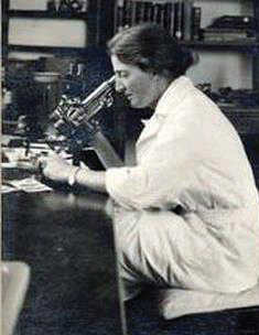 Lucy Wills, descubridorá del Ácido Fólico