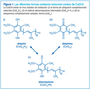 Diagrama gráfico de las formas de oxidación-reducción de la COenzima Q10
