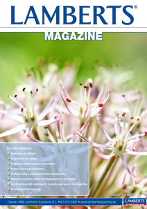 Portada de la revista Lamberts de Enero de 2021