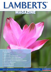 Portada del número de Septiemrbe de nuestro Lamberts Magazine