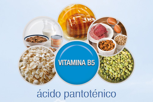 Alimentos con vitamina B 5