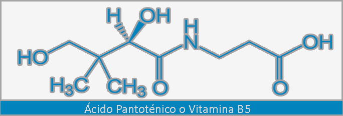 Fórmula estructural del Ácido Pantoténico o Vitamina B5