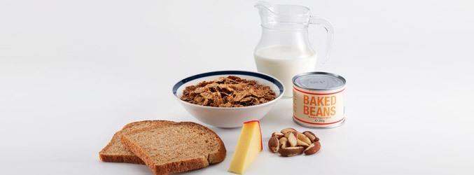 Fuentes de aminoácidos: Leche, queso, pan integral, nueces de macadamia y cereales integrales