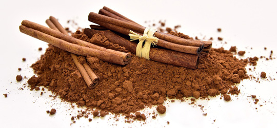 Ramas y polvo de canela