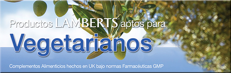 Productos para vegetarianos lamberts