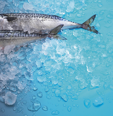 Aceite de pescado
