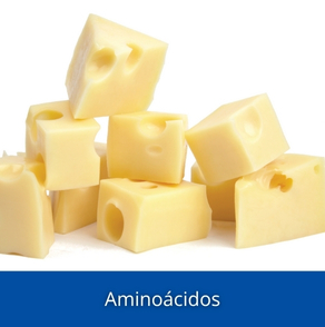 Aminoácidos