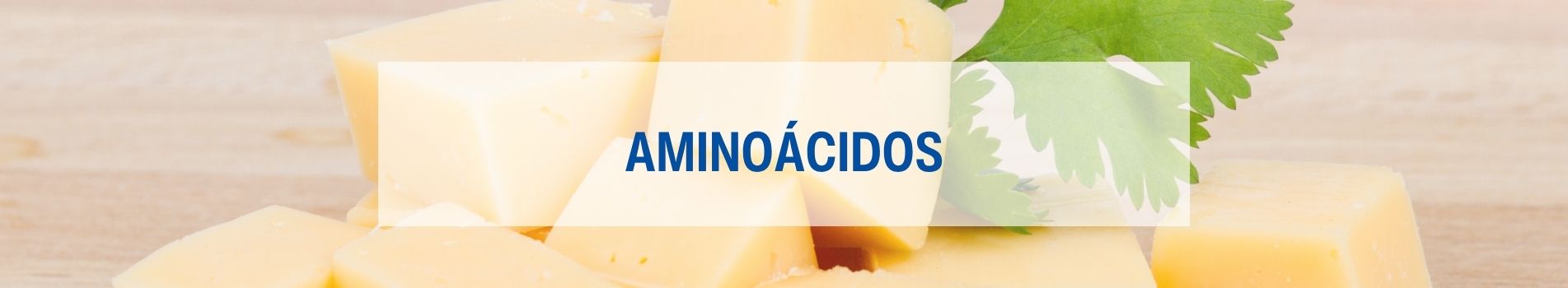 Aminoácidos