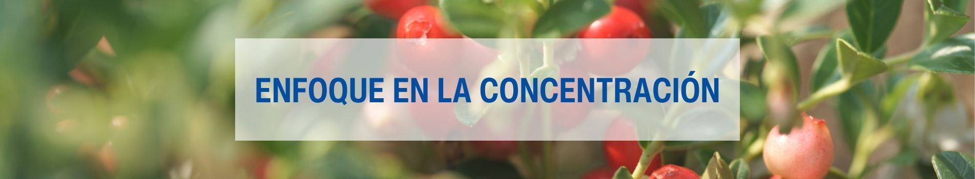 Lamberts enfoque en la concentración header