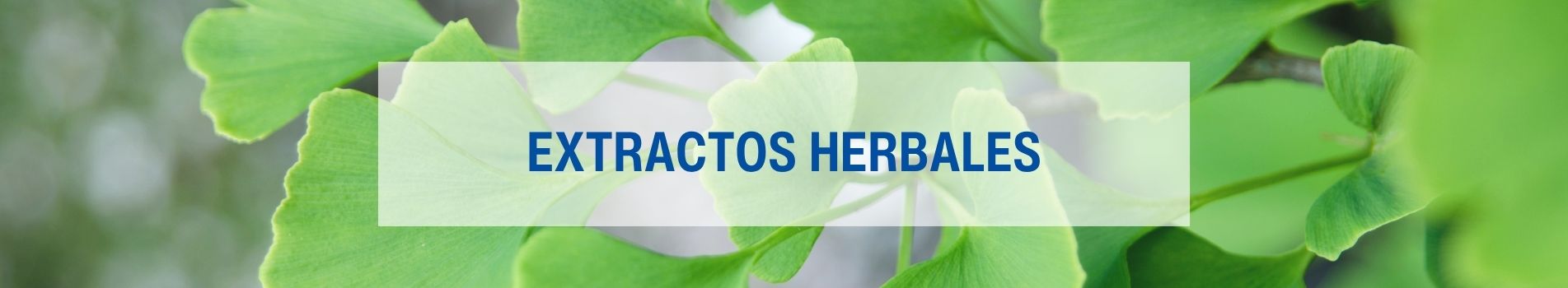 Extractos Herbales