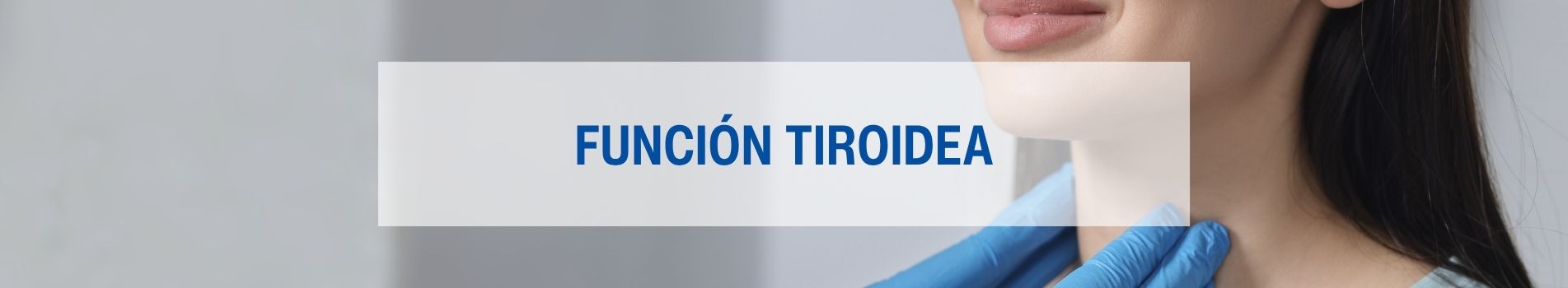 Función Tiroidea