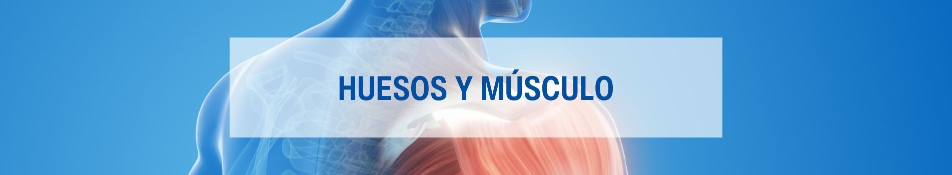 Huesos y Músculo