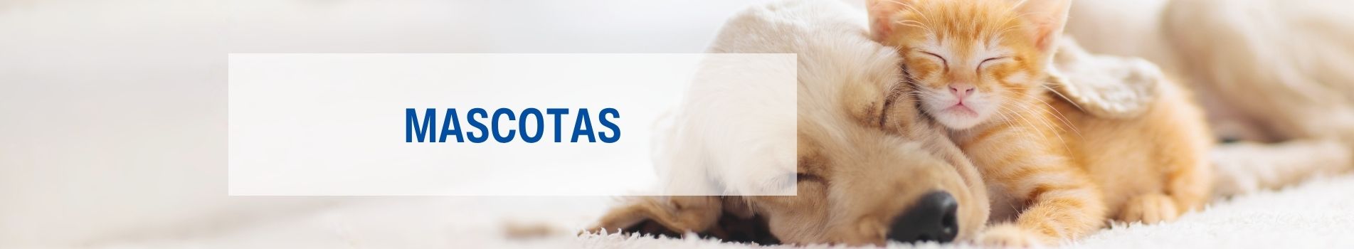 Productos para Mascotas