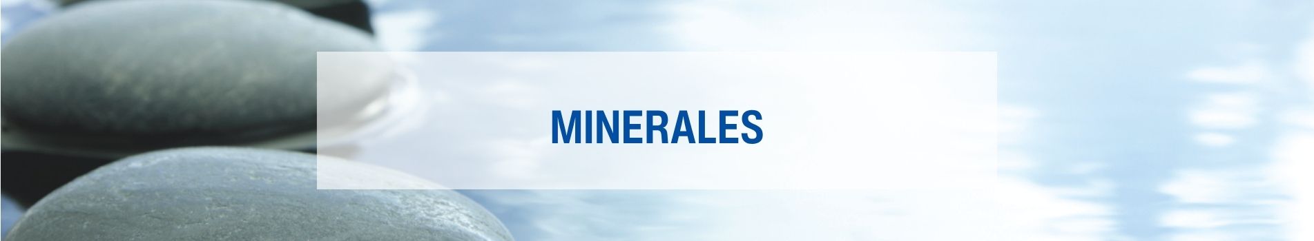 Complejos Minerales