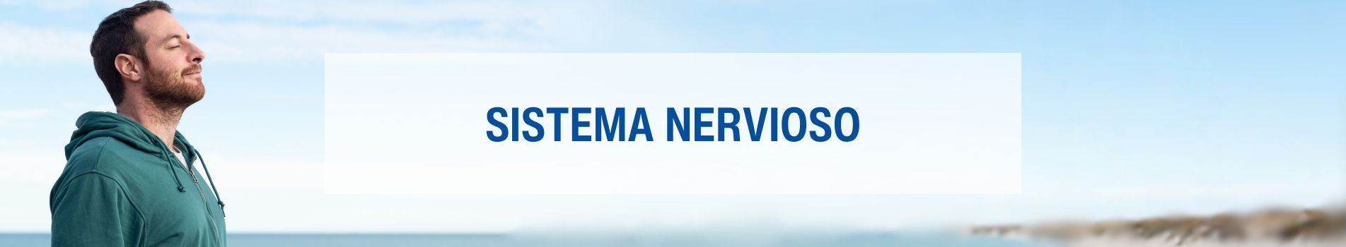 Sistema nervioso