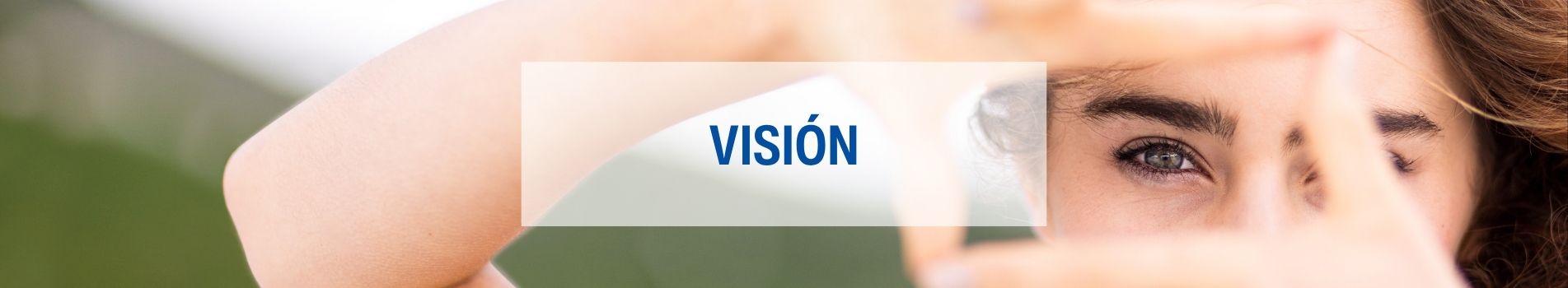 Visión