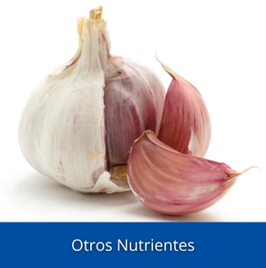 Otros Nutrientes