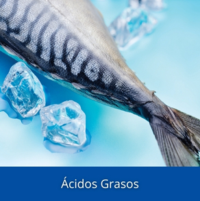 Ácidos Grasos