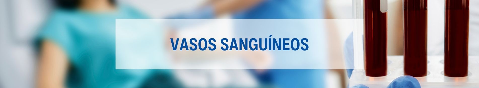 Vasos Sanguineos