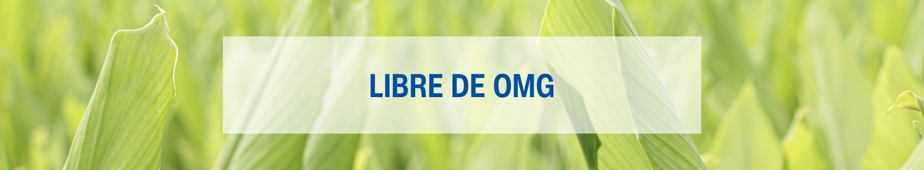 Banner libre OGM Lamberts