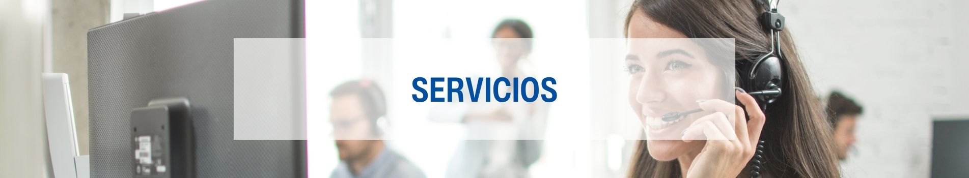 Servicios Lamberts