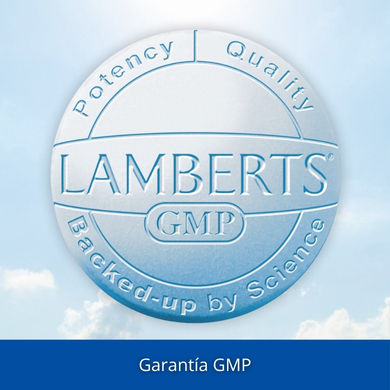 Garantía GMP. Lamberts.