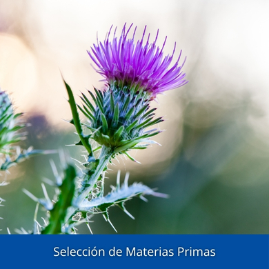 Selección de materias primas Lamberts