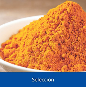 Seleccion materias primas lamberts