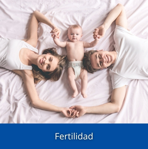 Fertilidad