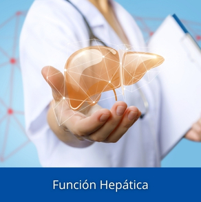 Función Hepática