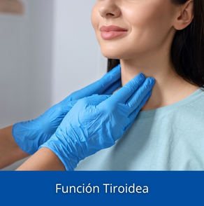 Función Tiroidea