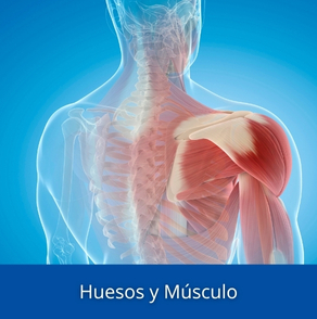Huesos y Músculo