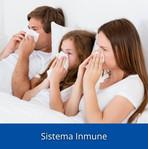 Sistema Inmune