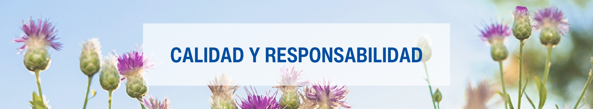 Lamberts a la vanguardia de la nutricion responsable