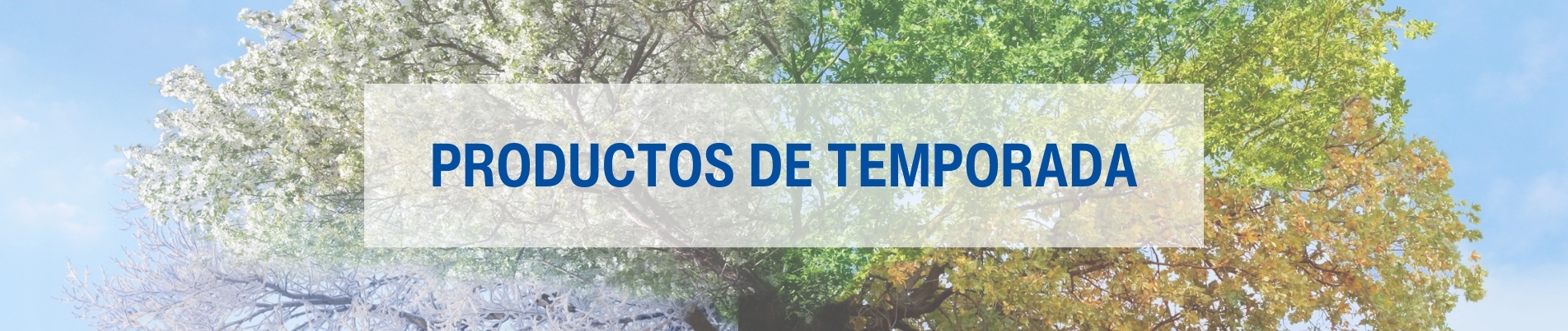 Banner productos de temporada Lamberts