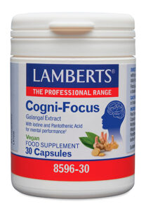 Cogni-Focus con Extracto de Galangal Lamberts