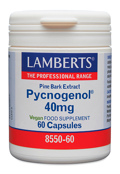 Pycnogenol extracto de corteza de pino maritimo Lamberts